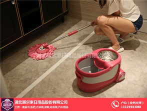 拖把產(chǎn)品質(zhì)量 煙臺(tái)拖把產(chǎn)品 麗爾家日用品廠家直銷